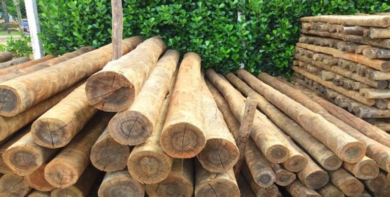 product_5fd8eca0253e6400018b1210_637436583282669441_001